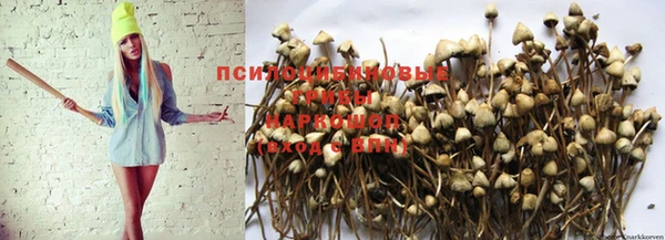 гашик Беломорск